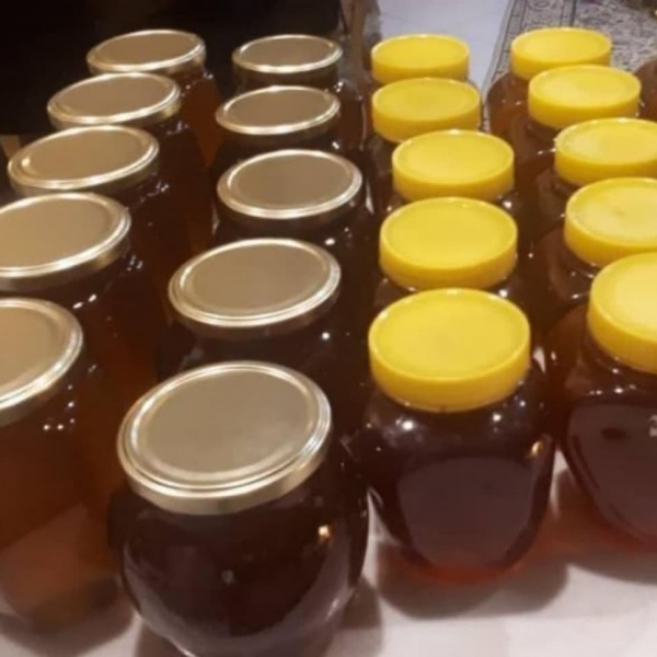 فروش عسل کنار،طبیعی و ارگانیک(اهرم بوشهر)