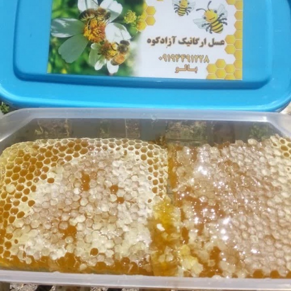 فروش عسل طبیعی و ارگانیک آزاد کوه