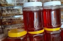فروش عسل گون با ضمانت و بهترین قیمت(آذربایجان غربی)