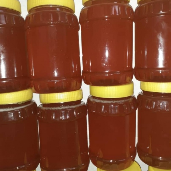 فروش عسل کوهی سنبله ارغوانی و گون
