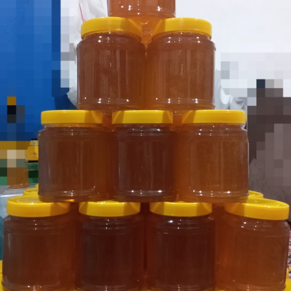 فروش عسل نیمه تغذیه
