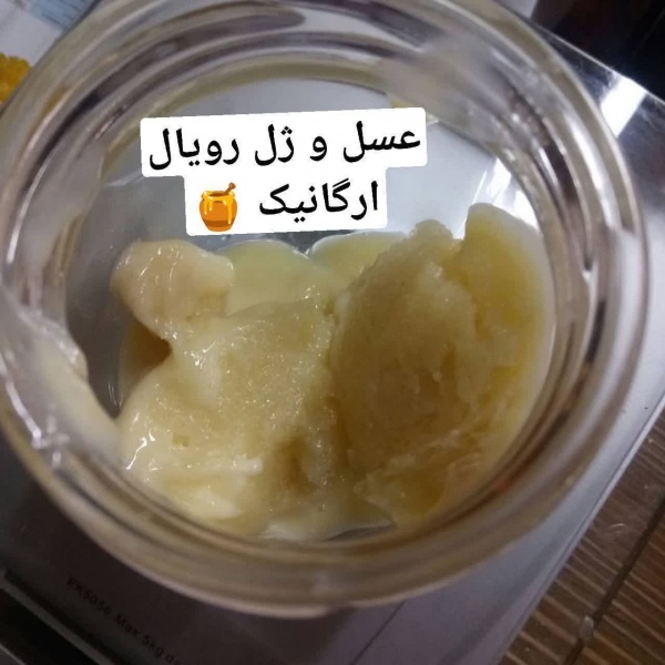 فروش ژل رویال اصل با کیفیت بالا