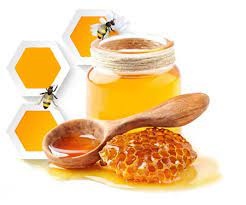 فروش عسل طبیعی* عسل حکیم*