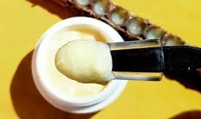 فروش ژل رویال به شرط آزمایش
