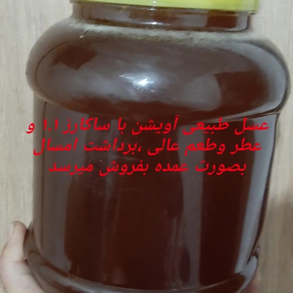 عسل طبیعی آویشن با ساکارز ۱.۱ و عطر وطعم عالی بصورت عمده بفر