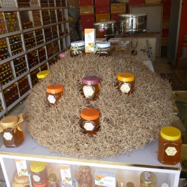 فروش عسل گون طبیعی