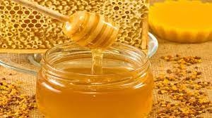 فروش عسل تغذیه کوهستان  با تناژ بالا