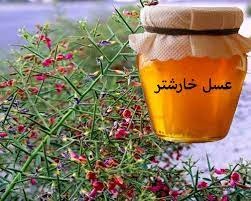 فروش عسل تگ گیاه خارشتر(مازندران)