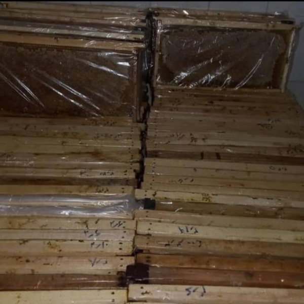 فروش عسل طبیعی (عسل موم و شهد عسل)