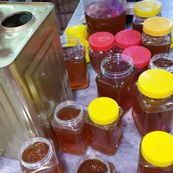 محمود علیدوستی زنبوردار و کارآفرین و تولید کننده عسل خالص و