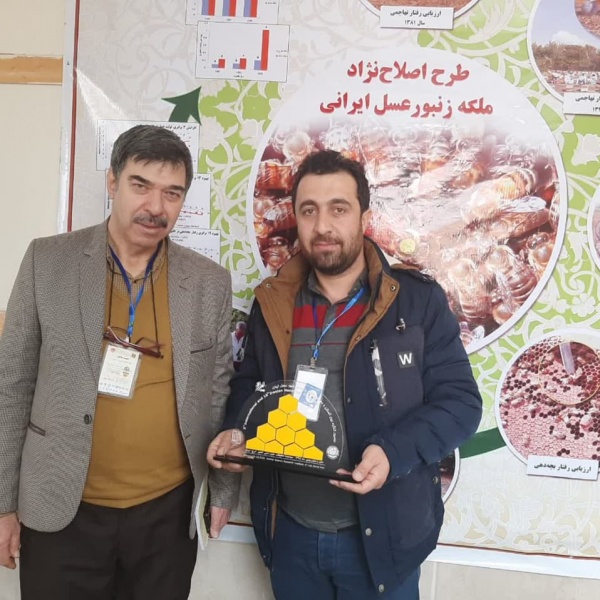 فروش گرده گل کوهی عالی(شاهرود)