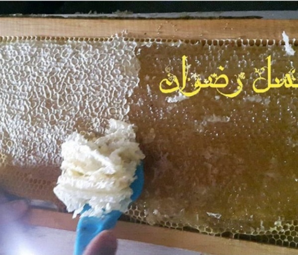 عسل طبیعی اردبیل