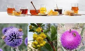 عسل طبیعی گیاهان دارویی(زنبور ملک)