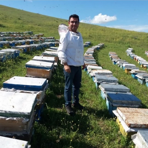 فروش عسل نیمه تغذیه چند گیاه