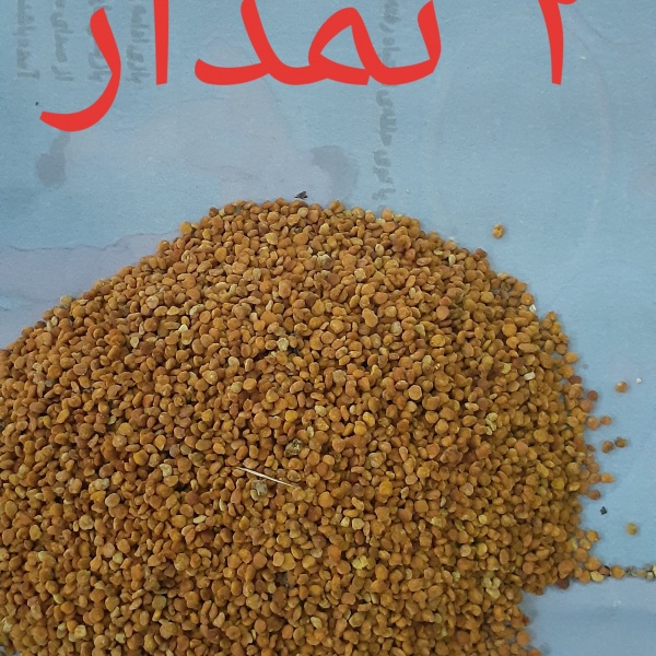 فروش گرده گل ایرانی