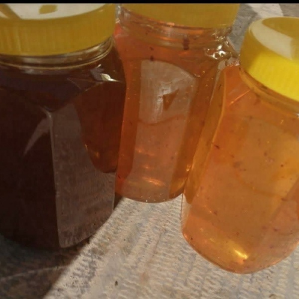 فروش محصولات و فراورده های زنبور عسل
