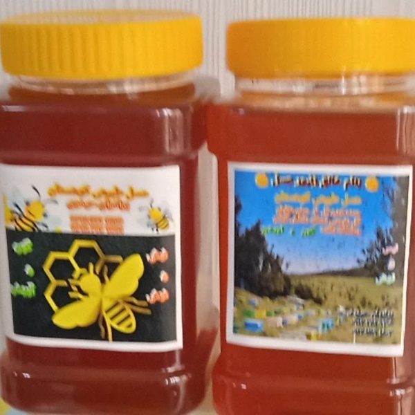 فروش ویژه و فوق العاده عسل گون داماش گیلان