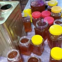 فروش  فوق العاده عسل درخت گز با خواص دارویی