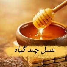 فروش عسل شهد چهل گیاه(تربت حیدریه)