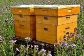 تولید کندوی زنبور عسل و فروش لوازم زنبورداری بابل