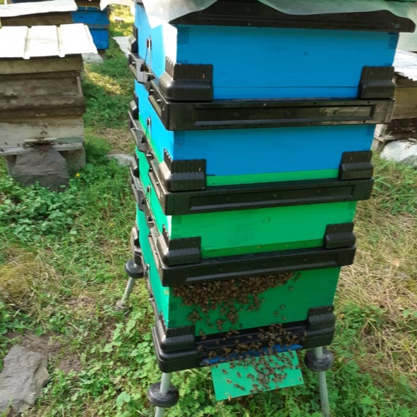 تولیدکننده ی لوازم زنبورداری