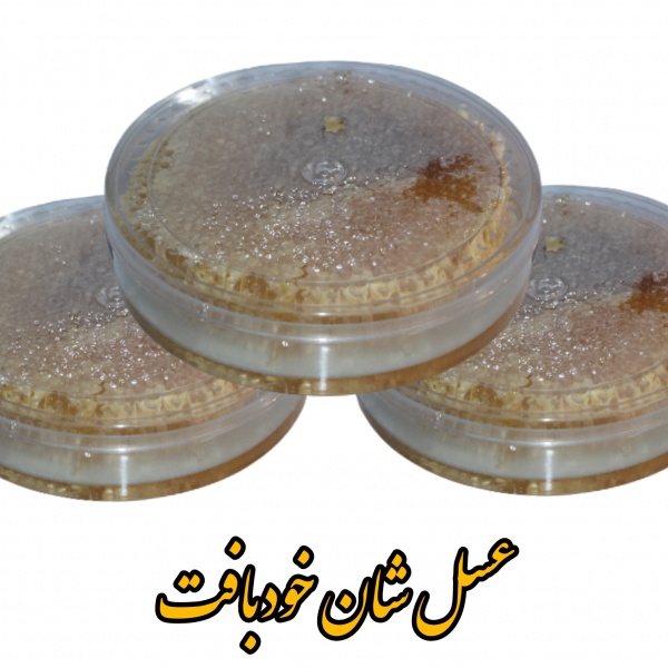 فروش و تولید عسل تغذیه خودبافت شان(ارومیه)