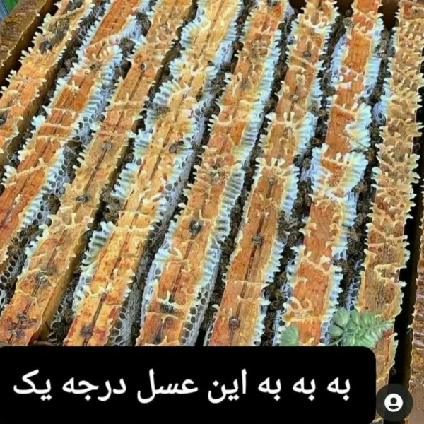 فروش فوق العاده عسل آویشن طبیعی(تهران،بومهن)