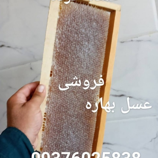 فروش عسل طبیعی و ارگانیک