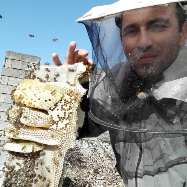 محمود علیدوستی زنبوردار و کارآفرین و تولید کننده عسل خالص و