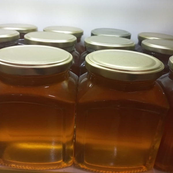 فروش عسل فوق العاده طبیعی یونجه