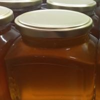 عسل طبیعی و تغذیه چند گیاه