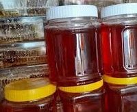 فروش عسل گون با ضمانت و بهترین قیمت(آذربایجان غربی)