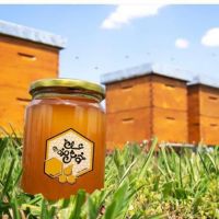 فروش انواع عسل های طبیعی و درمانی