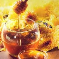 فروش عسل اورگانیک