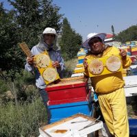 فروش عسل دارویی اکالیپتوس