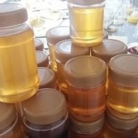 فروش عسل طبیعی به شرط آزمایش