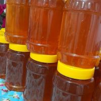 عسل طبیعی ساکارز زیر 1 و پرولین 1000