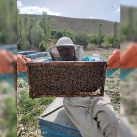 فروش عسل طبیعی و مرغوب چهل گیاه