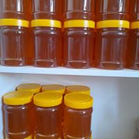 فروش عسل شهد آویشن درجه یک (قم)