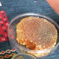 عسل طبیعی سردشت