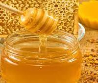 فروش عسل تغذیه کوهستان  با تناژ بالا
