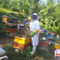 فروش ویژه عسل طبیعی چهل گیاه گیلان
