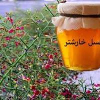 فروش عسل تگ گیاه خارشتر(مازندران)