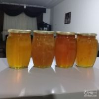 عسل نیمه تغذیه و یا تغذیه کم