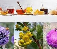 عسل طبیعی گیاهان دارویی(زنبور ملک)