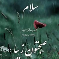 عسل طبیعی درخت.عسل طبیعی کندو.عسل گشنیزی