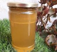 فروش عسل گون طبیعی گیلان