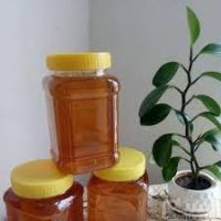 فروش عسل شهد چند گیاه با تناژ بالا