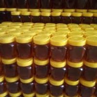 تولید و فروش عسل ارگانیک و طبیعی