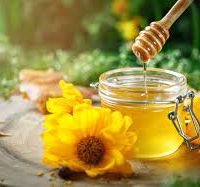 فروش عسل از بهترین زنبورداری مشهد